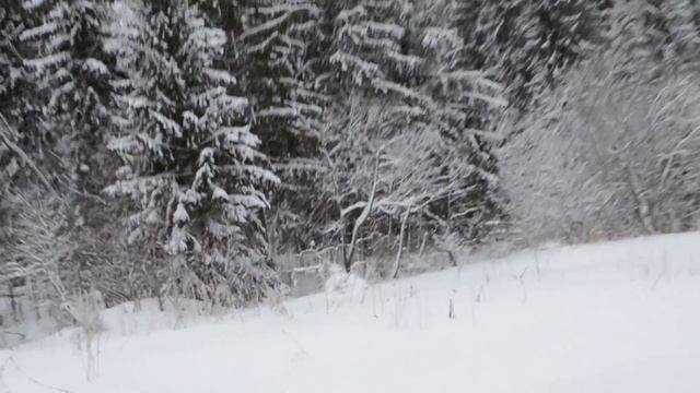 Купание в Павло-Обнорском монастыре. смотреть онлайн