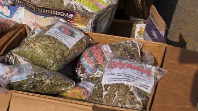 Прошла осенняя сельскохозяйственная ярмарка смотреть онлайн