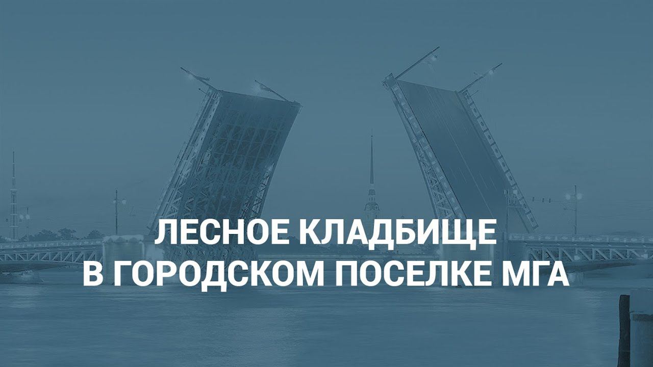 Лесное кладбище в г. п. Мга