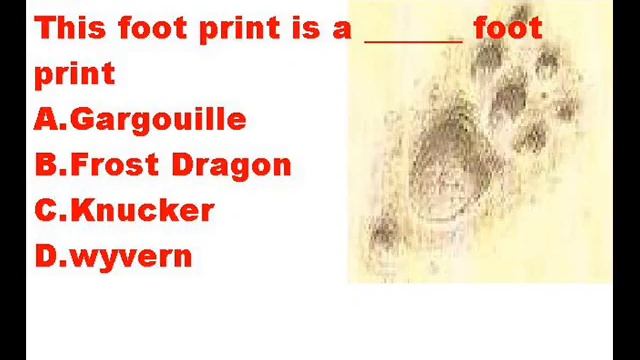 dragonology quiz.wmv смотреть онлайн