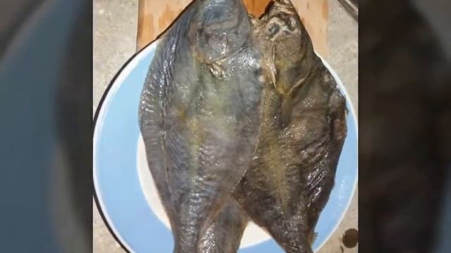 Спорт и Физическая Активность