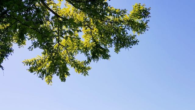 Евангелие и Святые дня. Апостол. 1-я приуготовительная седмица к Великому посту. (19.02.22) смотреть онлайн