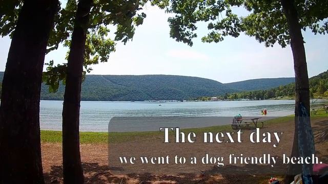 Raystown Lake, Campsite, Beach, Intex Kayak смотреть онлайн