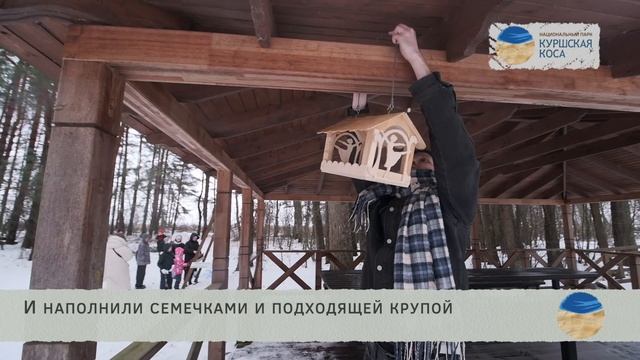 Покормите птиц 2024 смотреть онлайн