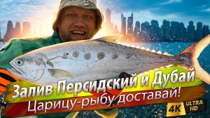 🇦🇪 Морская рыбалка в Эмиратах. Что можно поймать с берега?