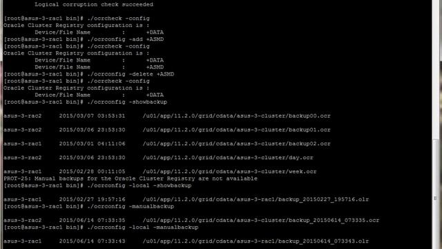 Oracle OCR Commands смотреть онлайн