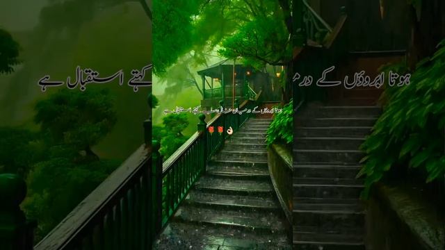 آبرو پے خال#?short#shahi смотреть онлайн