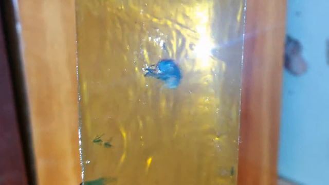 дерзкая муха смотреть онлайн