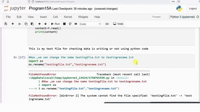 Rename & Remove text file using Python code | Python Programming | Jupyter NoteBook | IL смотреть онлайн