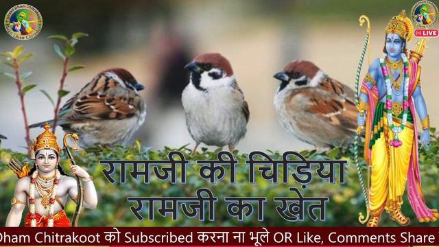 रामजी की चिड़िया रामजी का खेत || Ramji Ki Chidiya #bhaktidham #bhaktidham chitrakoot #ramjisongs смотреть онлайн