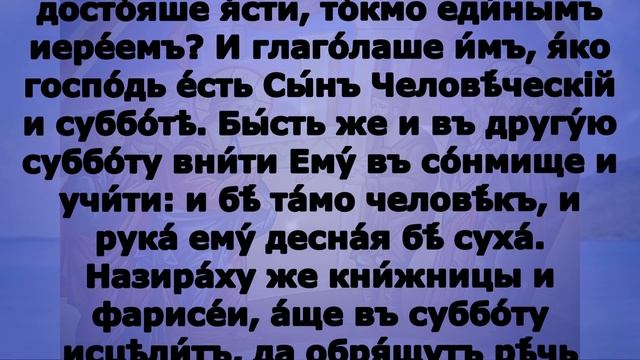 Включи прямо сейчас! Евангелие дня 28 октября 2023 года смотреть онлайн
