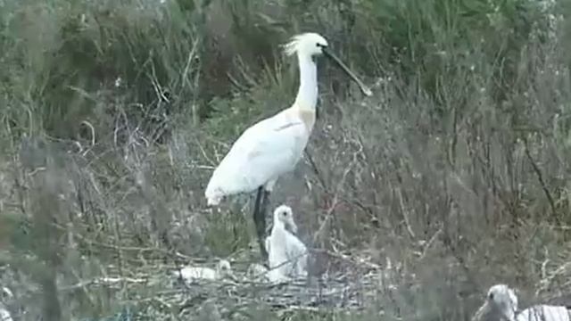 Достопримечательности Крыма, часть 3 смотреть онлайн