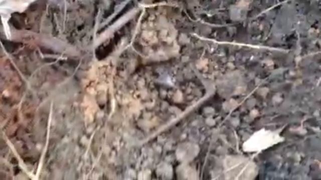 kenny bounty hunter platinum смотреть онлайн