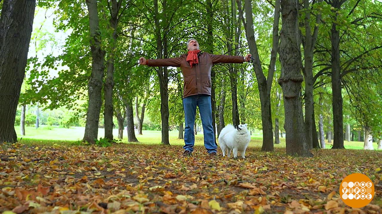 Долой осеннюю хандру! Доброе утро. Фрагмент выпуска от 02.10.2023 смотреть онлайн