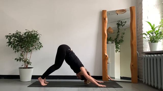 Приветствие солнцу для начинающих. Сурья намаскар. смотреть онлайн