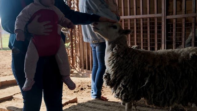 Ферма Гопкало Киров смотреть онлайн