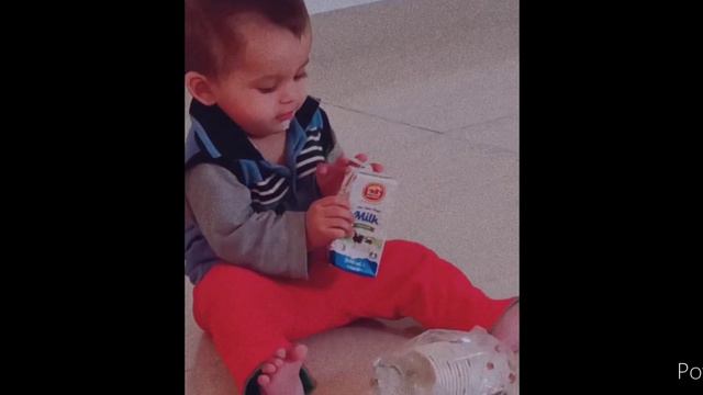 little munchkin drink baladna milk смотреть онлайн