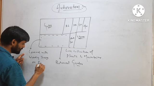 What is Arboretum? смотреть онлайн