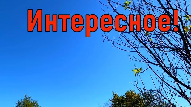 26 сентября Корнилов День. Что нельзя делать 26 сентября. Народные традиции и приметы и суеверия смотреть онлайн