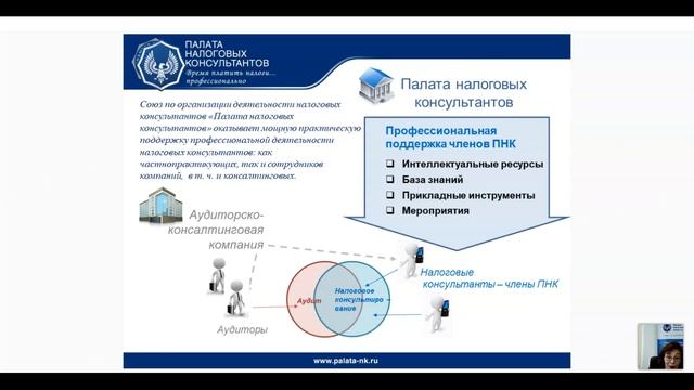 Аудитор и Налоговый консультант. смотреть онлайн