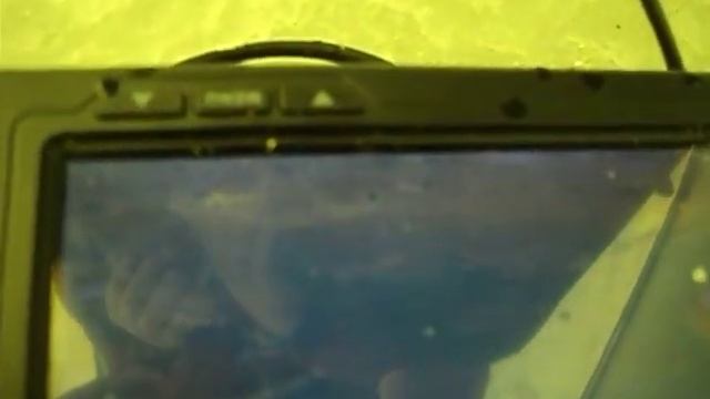 Клёв ельца 2018-2019 смотреть онлайн