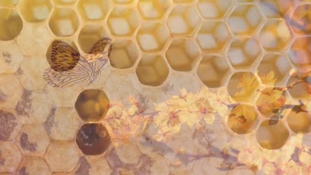 музыка рейки. мелодии рейки. мелодии для спа. спа музыка смотреть онлайн