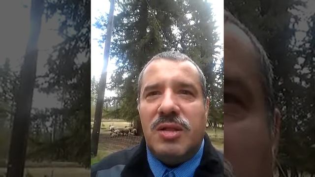 Он отдал всю зарплату что из этого вышло. Цена послушания ,цена жизни.всё таки послушался. смотреть онлайн