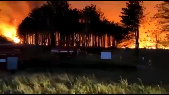 Лесной пожар в Ростовской области смотреть онлайн