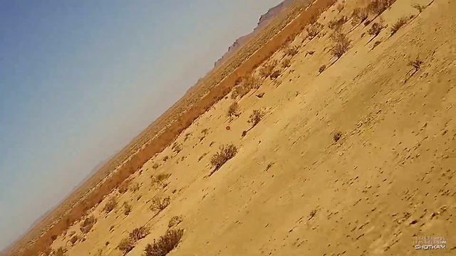 Sandgrouse hunting with ata venza смотреть онлайн