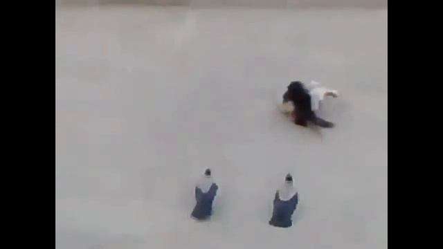 страшные коты смотреть онлайн