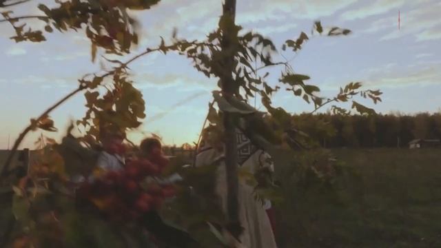 Voronsow, Tarai "Шăнкăр шăнкăр" смотреть онлайн