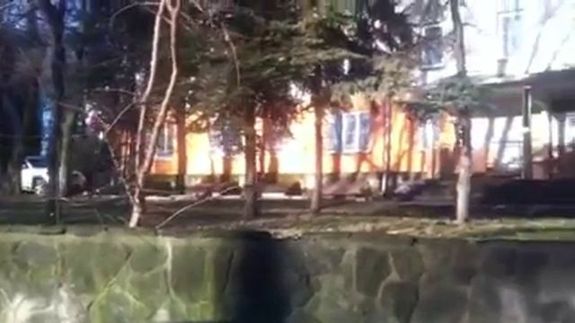 Рыжая белка весной смотреть онлайн