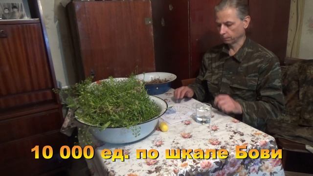 Знергетическая вытяжка из трав. Пырей, пастушья сумка и петрушка смотреть онлайн