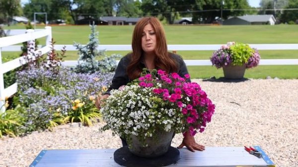 Flower Alley Update! 🌸💚🌼// Garden Answer