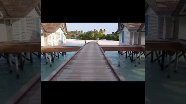 Maldives/Cora Cora Maldives Resort смотреть онлайн