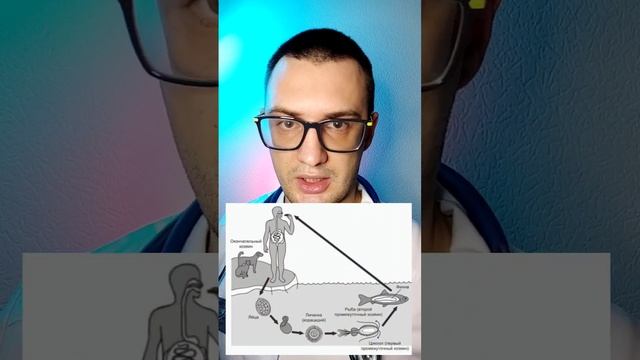 Широкий лентец смотреть онлайн
