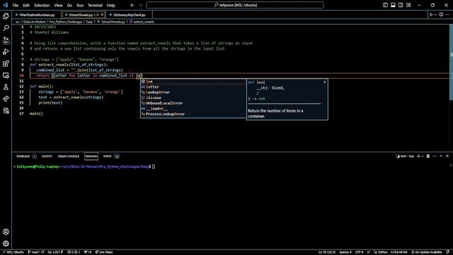 Pro Python Challenge - Extract Vowels смотреть онлайн