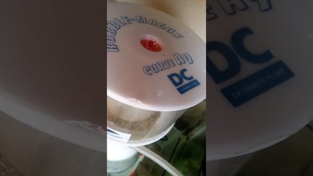 Bubble magus A9 смотреть онлайн