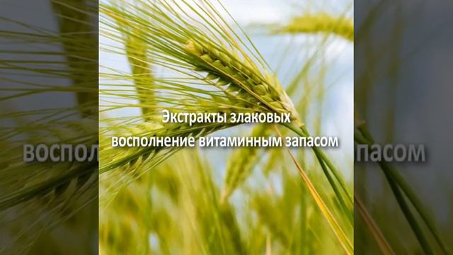 Самый лучший продукт Top life!!! смотреть онлайн