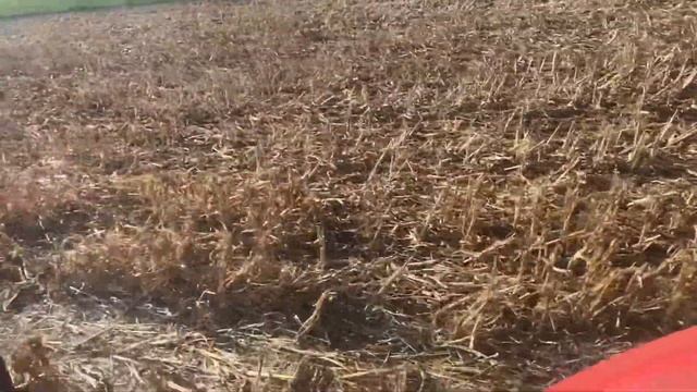 29.10.2022! Посев зимующего гороха! No-till!!! смотреть онлайн