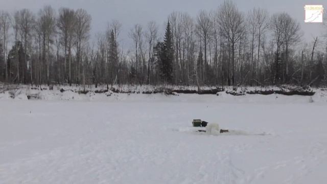 Вездеход 6х6 "ТАЙМЕНЬ". Рыбалка на р.Лозьва в п.Лача. Часть 1. Поимка хорошей щуки смотреть онлайн