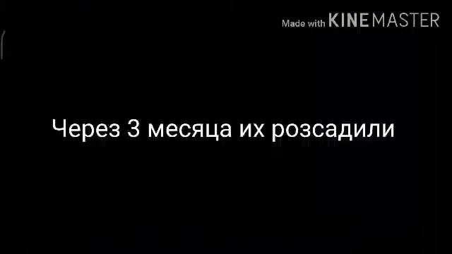 Знакомство з моєй СЛПВМ очень бистрий текст смотреть онлайн