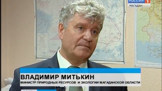 Колымское предприятие «Северные прииски» планирует добывать золото в КНДР смотреть онлайн