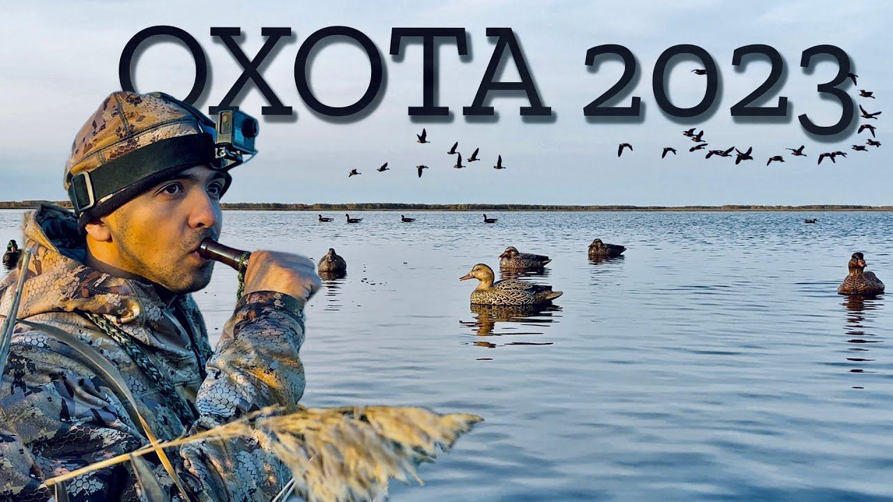 Охота на утку и гуся 2023 | Долгожданные трофеи осеннего сезона смотреть онлайн
