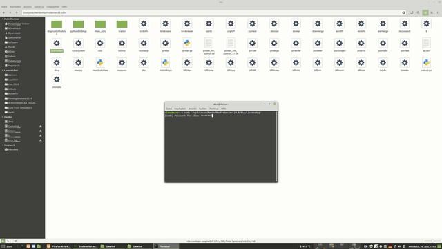 Renderman 24 Installation Process on Linux for Houdini and Blender смотреть онлайн