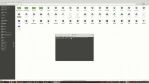 Renderman 24 Installation Process on Linux for Houdini and Blender