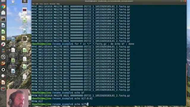 Renaming some files with a shell loop смотреть онлайн