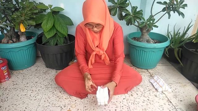 TUTORIAL CARA MEMBUAT SIBORI смотреть онлайн