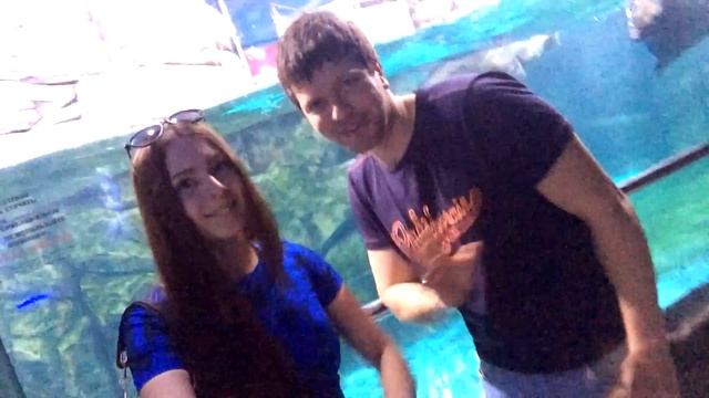 Океанариум РИО / ловля морских котиков смотреть онлайн