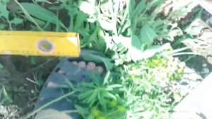 Столбчатый фундамент из профильных труб.